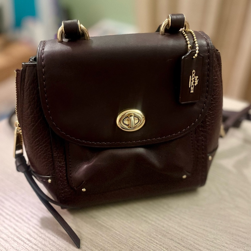 Coach Chocolate Leather Backpack with Gold Accents